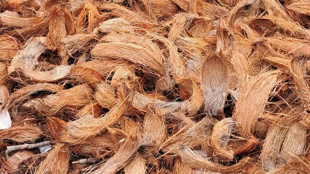 Kokosnüsse als Rohstoff für Kokosfaserbelag auf dem Spielplatz und seine Nachteile