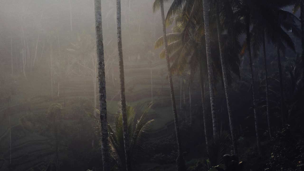 Kokosfaserbelag auf dem Spielplatz hat Nachteile