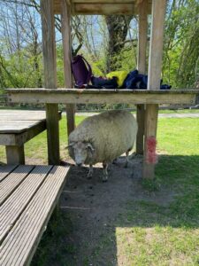 demenzsensible Orte unterstützen auch den Bezug zur Natur